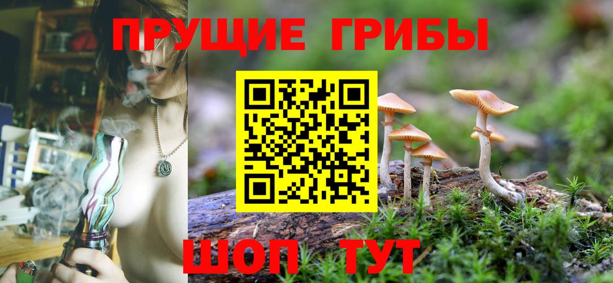 Усолье-Сибирское  Псилоцибиновые грибы Magic Shrooms  Вход с VPN 